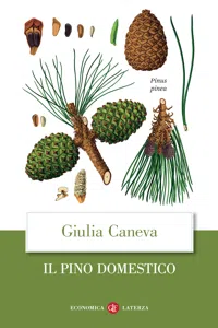 Il pino domestico_cover