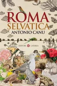 Roma selvatica_cover