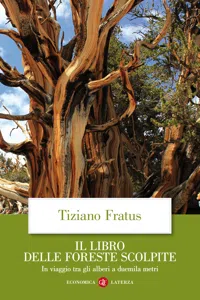 Il libro delle foreste scolpite_cover