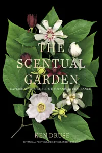 The Scentual Garden_cover