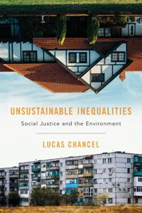 Unsustainable Inequalities_cover