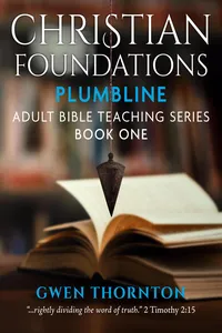 Christian Foundations: Plumbline Adult Teaching Series, Book One_cover