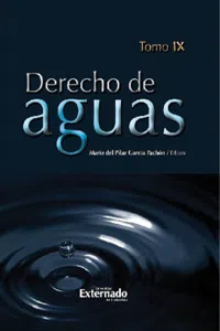 Derecho de Aguas. Tomo IX_cover