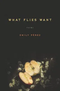 What Flies Want_cover