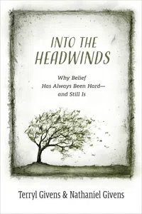 Into the Headwinds_cover