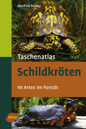 Schildkröten