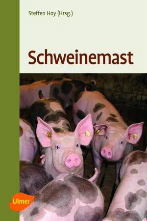 Schweinemast