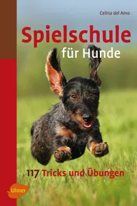 Spielschule für Hunde_cover