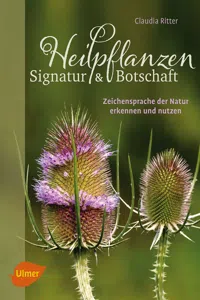 Heilpflanzen. Signatur und Botschaft_cover