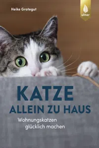 Katze allein zu Haus_cover