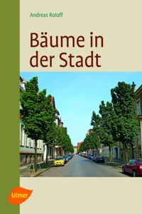 Bäume in der Stadt_cover