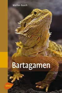 Bartagamen_cover