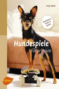 Hundespiele für zu Hause_cover