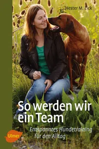 So werden wir ein Team_cover