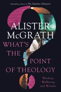 What's the Point of Theology?_cover