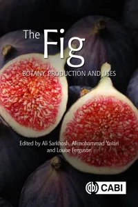 The Fig_cover