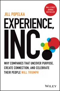 Experience, Inc._cover