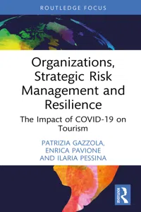 Organizations, Strategic Risk Management and Resilience_cover