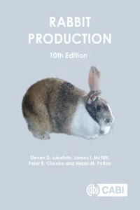 Rabbit Production_cover