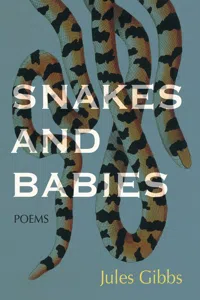 Snakes and Babies_cover
