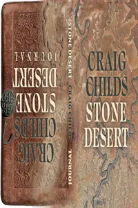 Stone Desert_cover
