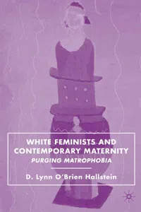 White Feminists and Contemporary Maternity_cover