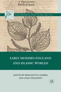 Early Modern England and Islamic Worlds_cover