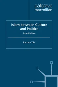 Islam Between Culture and Politics_cover