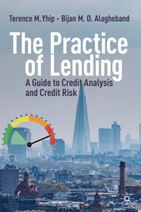 The Practice of Lending_cover