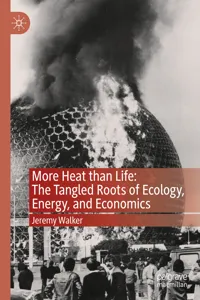 More Heat than Life: The Tangled Roots of Ecology, Energy, and Economics_cover