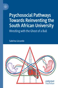 Psychosocial Pathways Towards Reinventing the South African University_cover