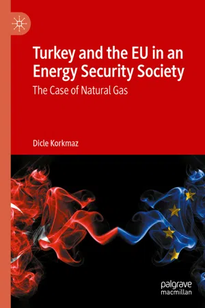 Turkey and the EU in an Energy Security Society