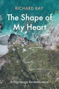 The Shape of My Heart_cover