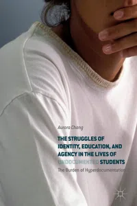 The Struggles of Identity, Education, and Agency in the Lives of Undocumented Students_cover