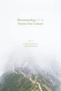 Phenomenology for the Twenty-First Century_cover