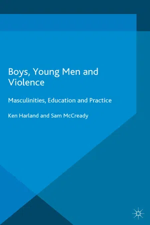 Boys, Young Men and Violence