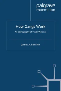 How Gangs Work_cover