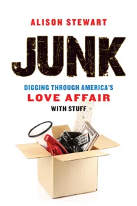 Junk_cover