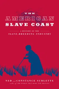 The American Slave Coast_cover