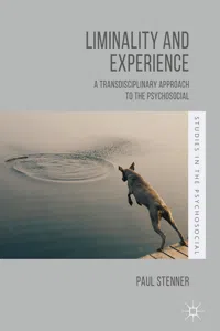 Liminality and Experience_cover