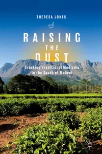 Raising the Dust_cover