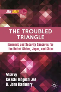 The Troubled Triangle_cover