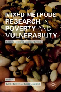 Mixed Methods Research in Poverty and Vulnerability_cover