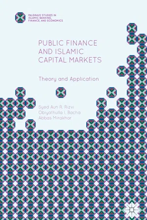 Public Finance and Islamic Capital Markets