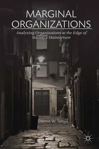 Marginal Organizations_cover