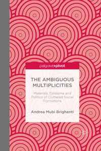 The Ambiguous Multiplicities_cover