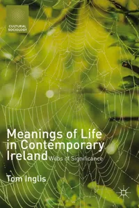 Meanings of Life in Contemporary Ireland_cover