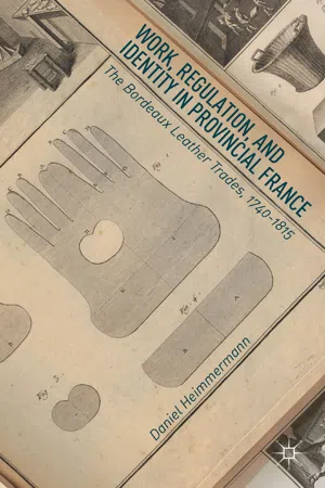 Work, Regulation, and Identity in Provincial France