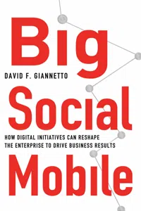 Big Social Mobile_cover