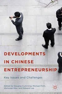 Developments in Chinese Entrepreneurship_cover